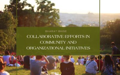 Collaborative Efforts in Community and Organizational Initiatives